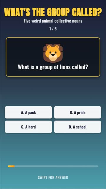 A Murder of What?! Guess These Strange Animal Group Names 🦩 #shorts